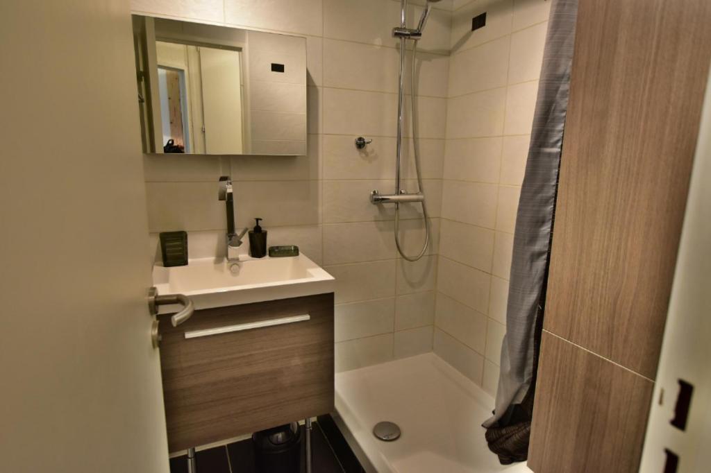 Chamonix Centre"Residence Les Jonquilles2" מראה חיצוני תמונה